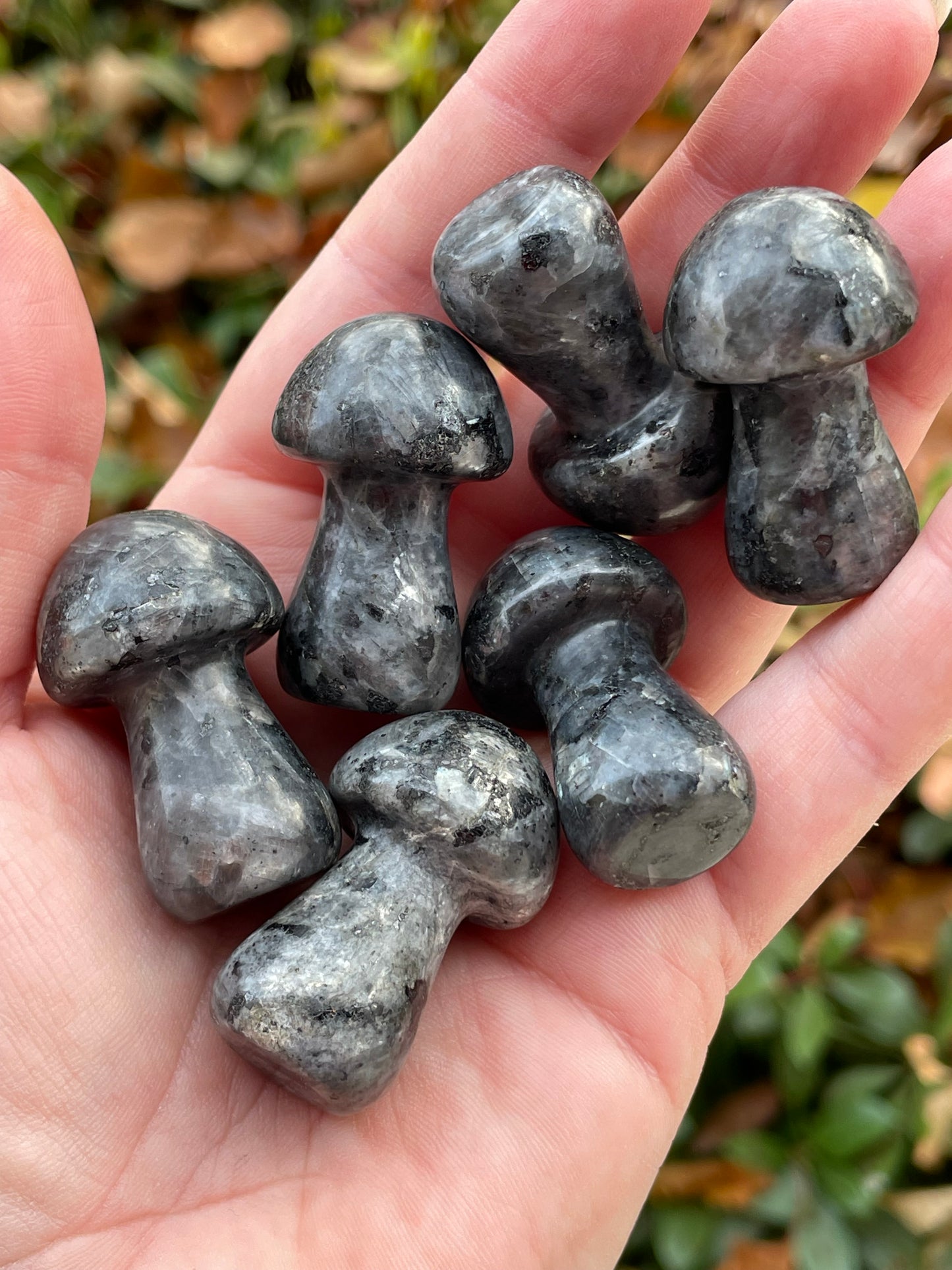 Larvikite Crystal Mushroom