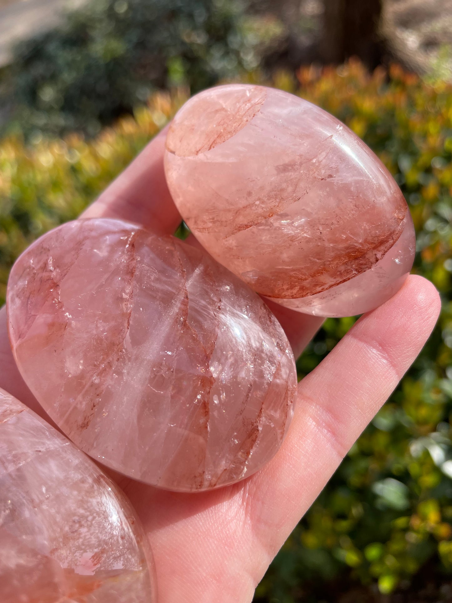 Fire Rose Quartz with Red Hematite Crystal Palm Stones