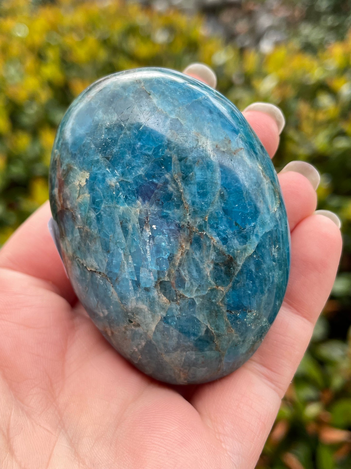 Blue Apatite Crystal Palm Stones