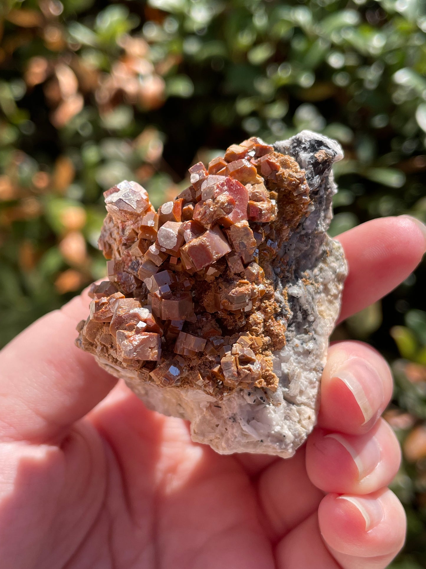 Vanadinite and Barite Crystal Mineral Specimen
