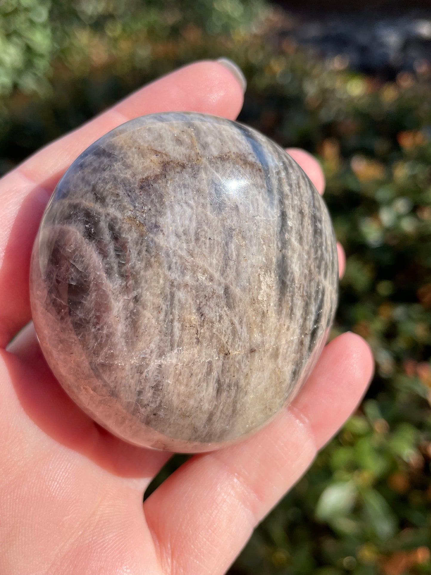 Black Moonstone Palm Stone