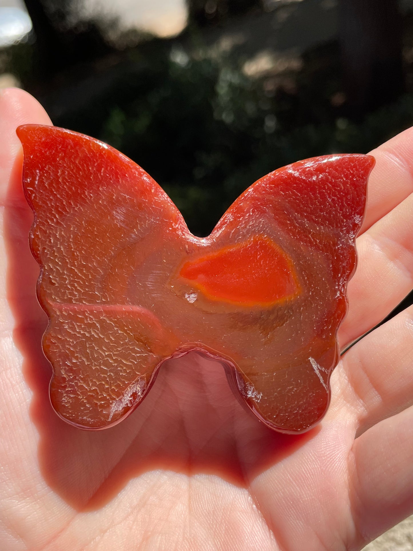 Carnelian Butterfly Carving