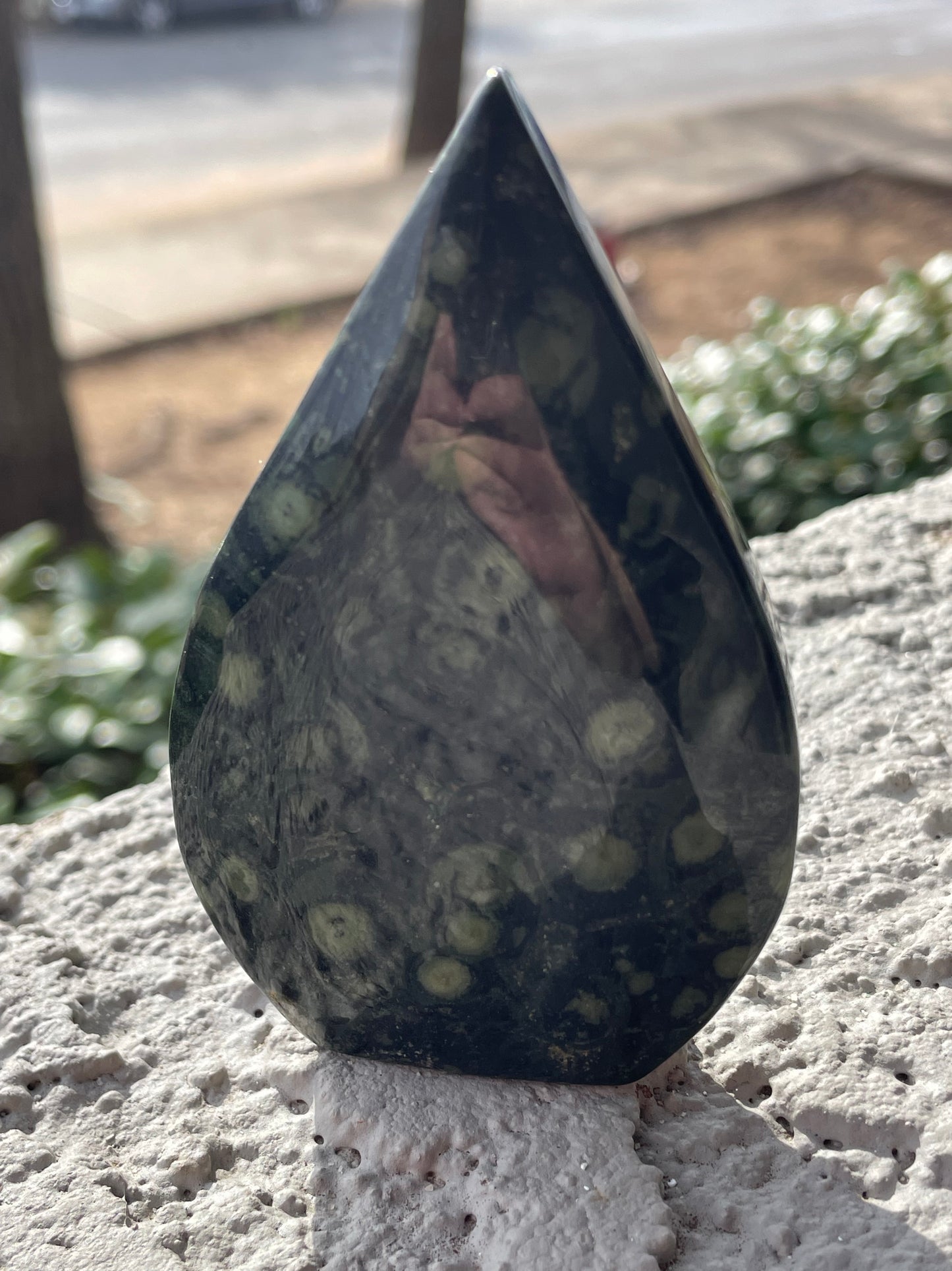 Kambaba Jasper Arrowhead Self Standing Stones