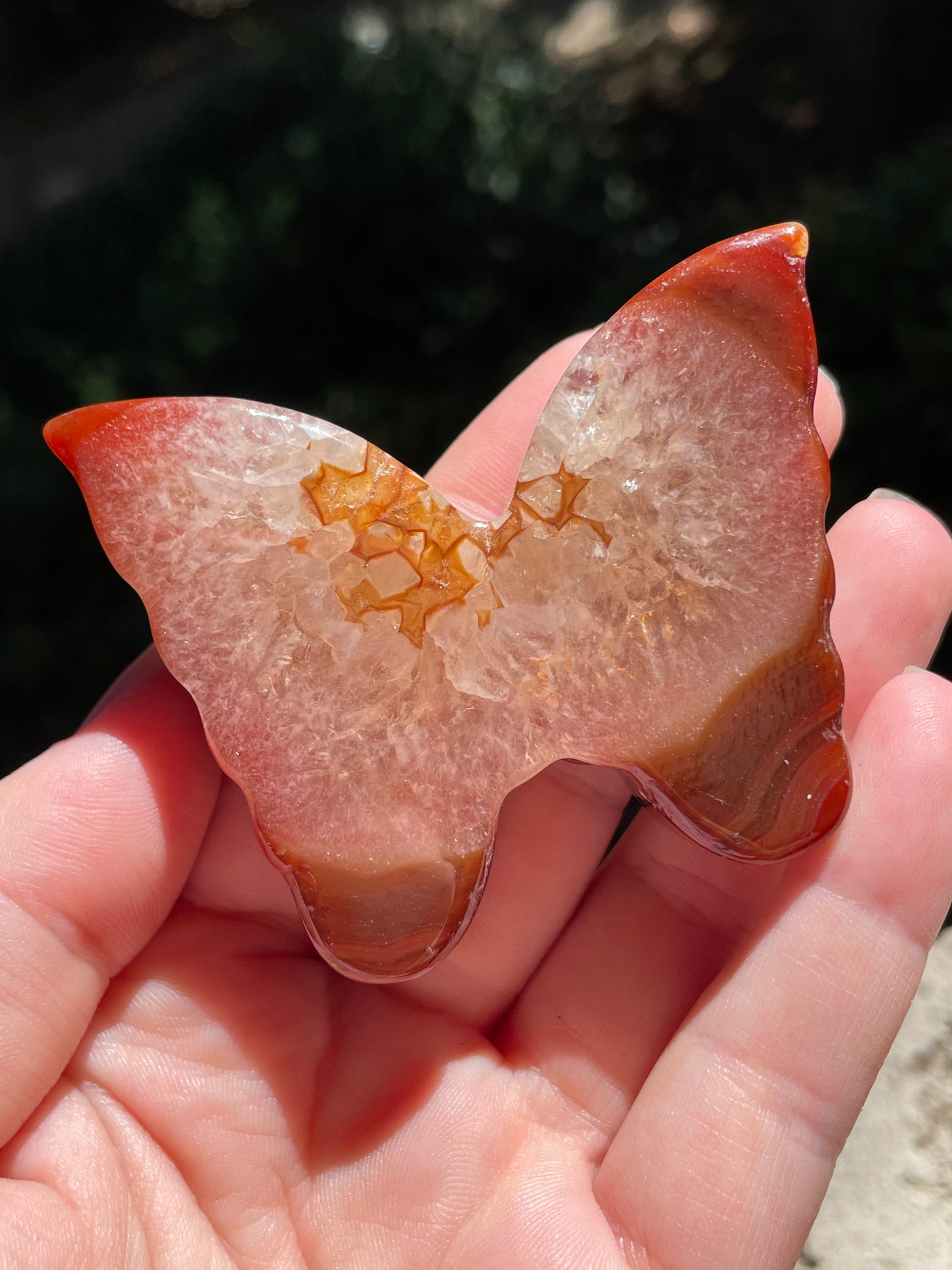 Carnelian Butterfly Carving