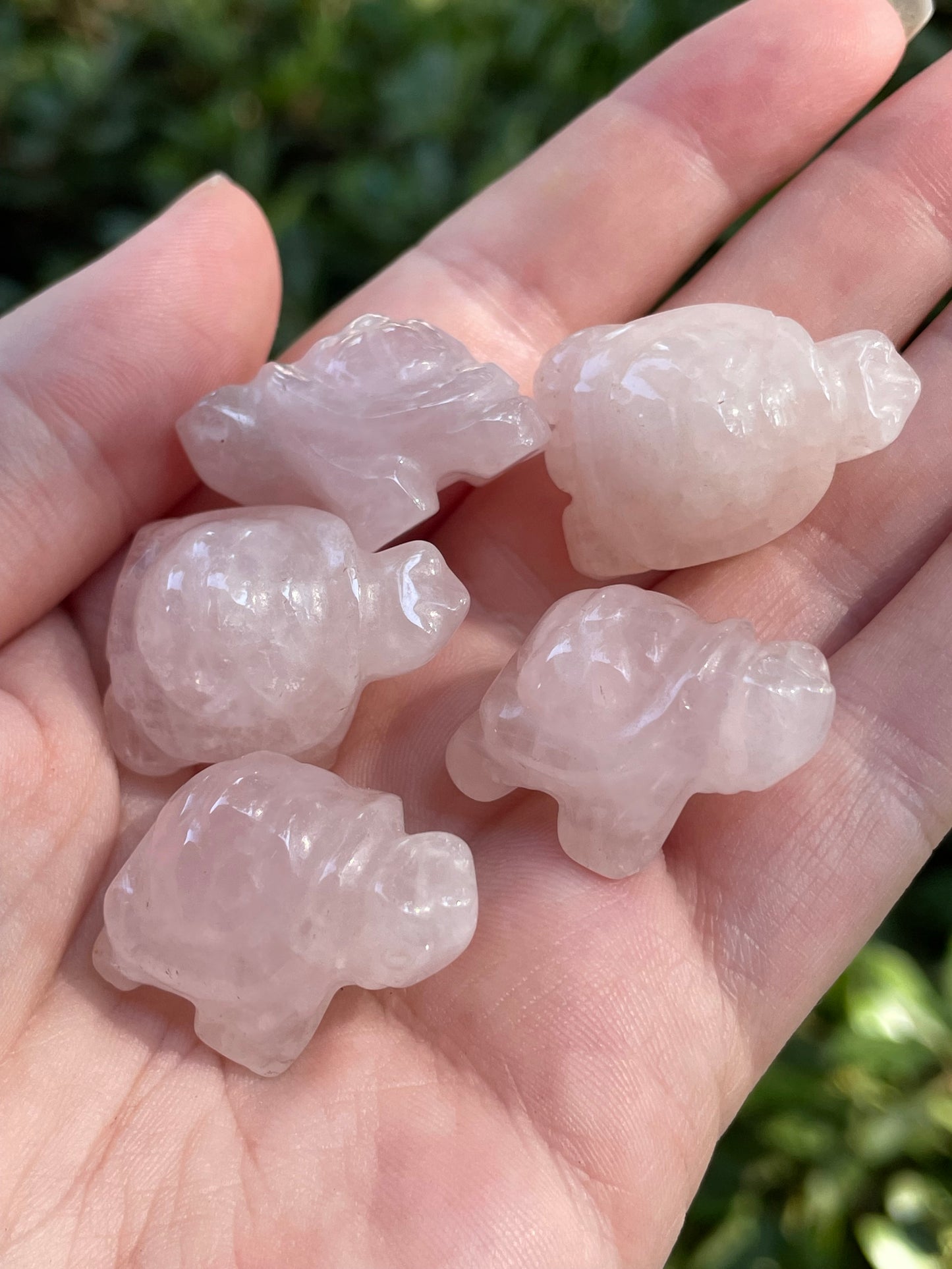 Rose Quartz Turtles