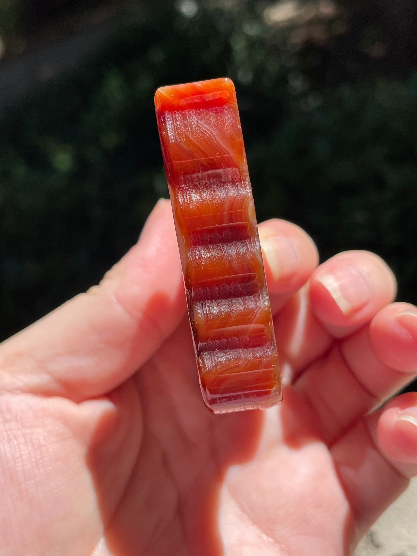 Carnelian Butterfly Carving