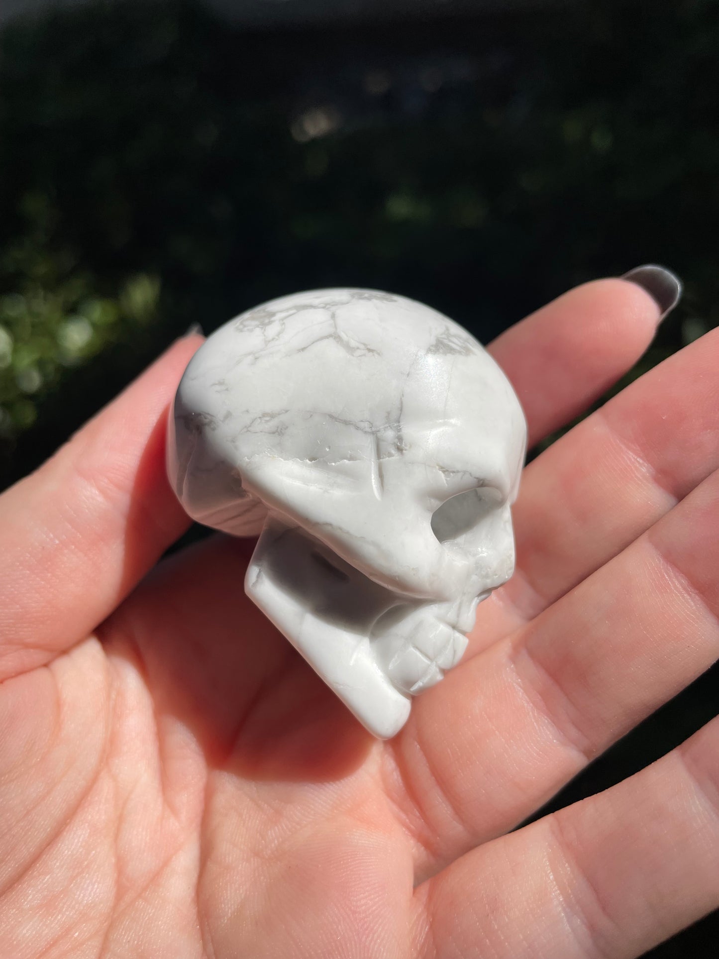 2” Howlite Crystal Skull