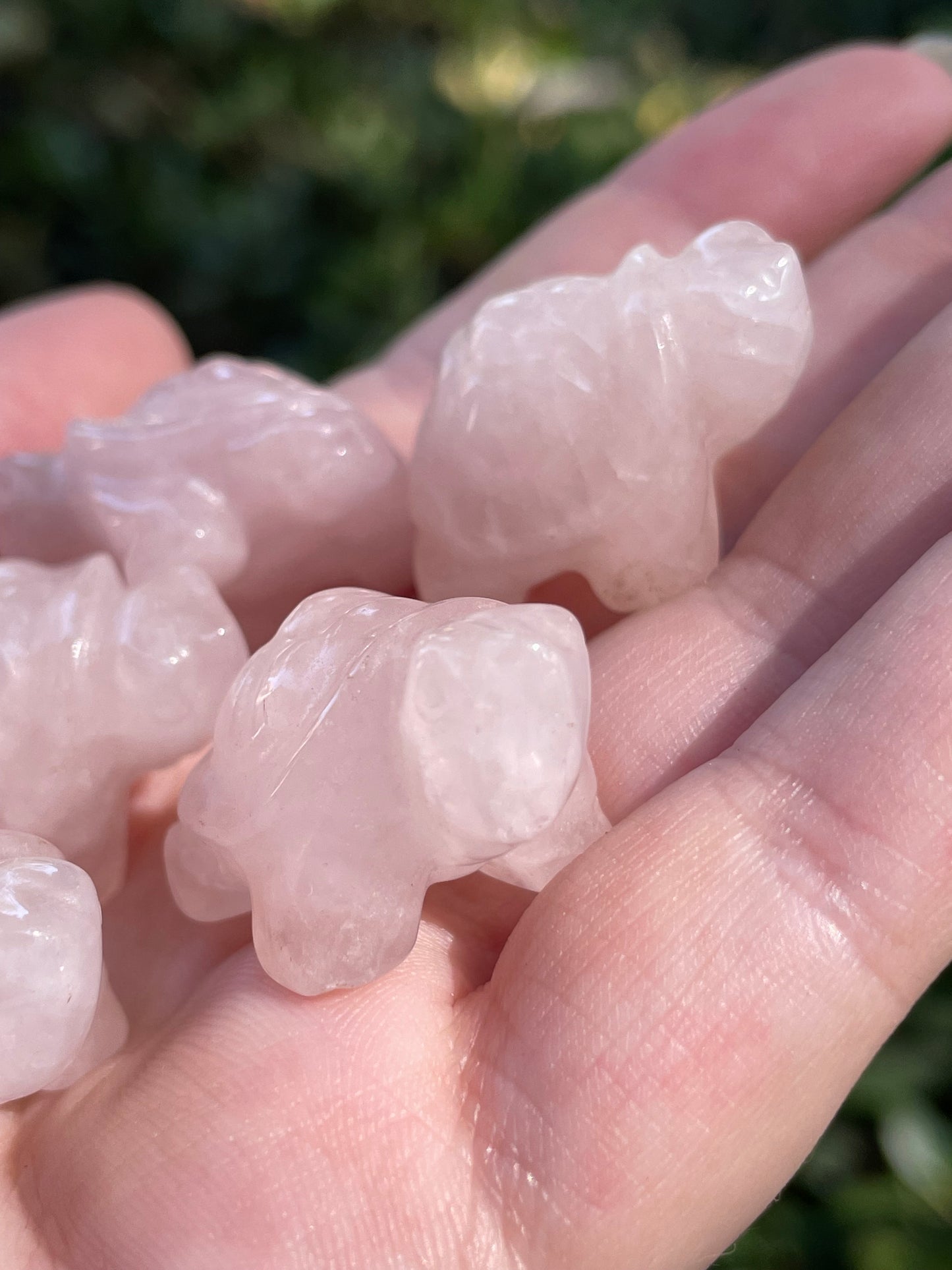 Rose Quartz Turtles