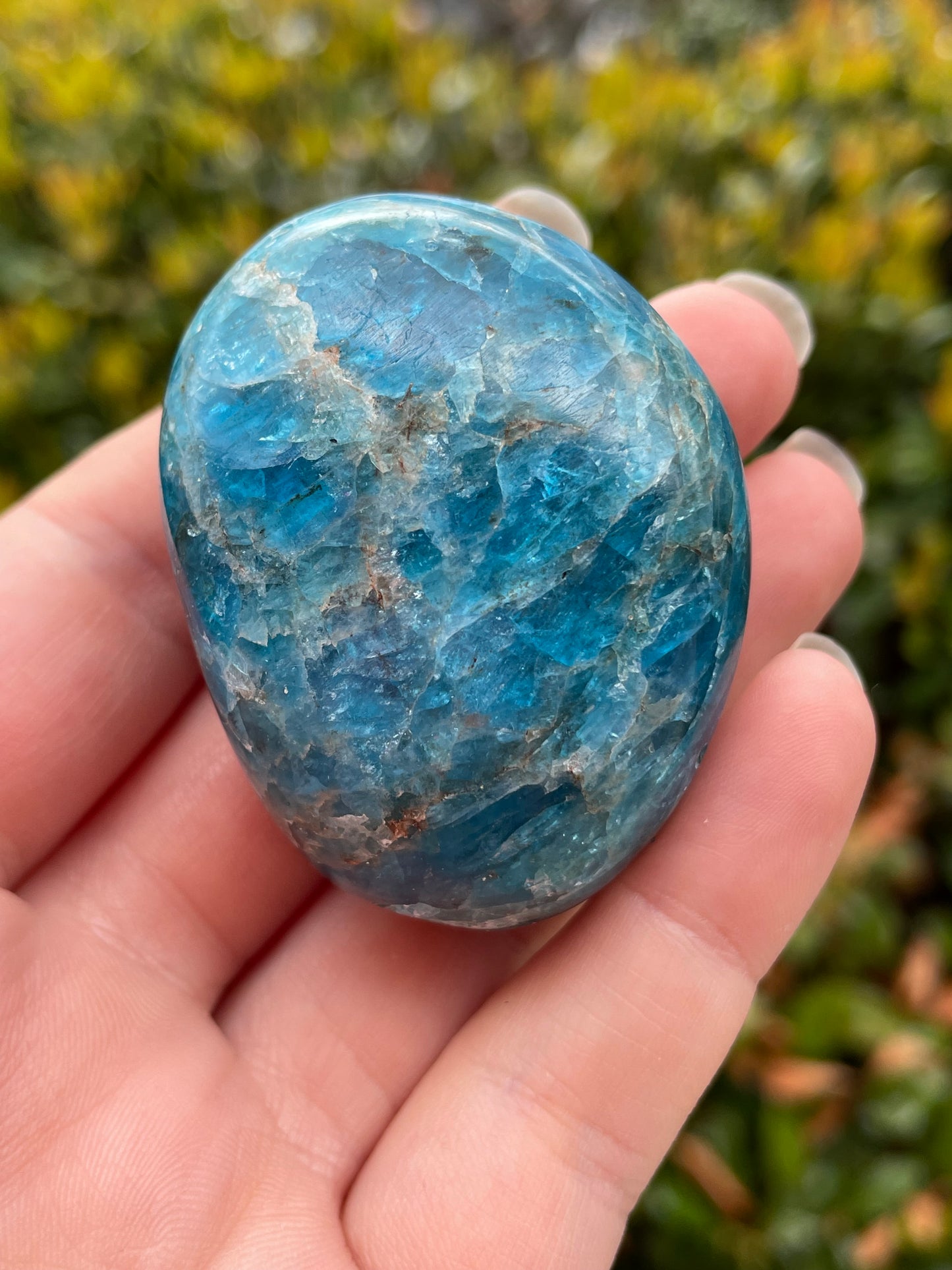 Blue Apatite Crystal Palm Stones