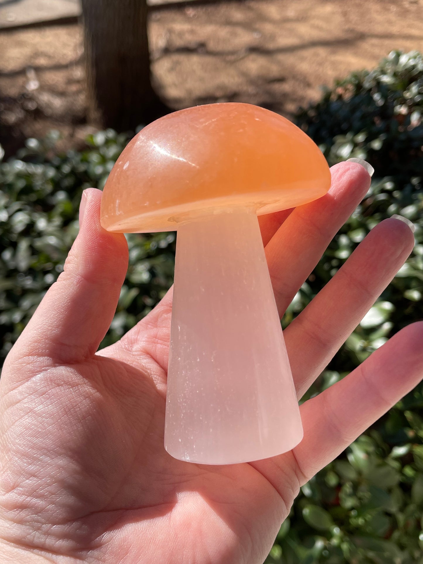 Satin Spar Selenite Crystal Mushrooms