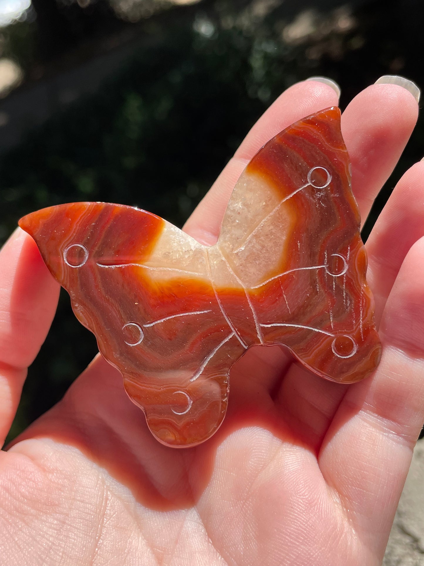 Carnelian Butterfly Carving