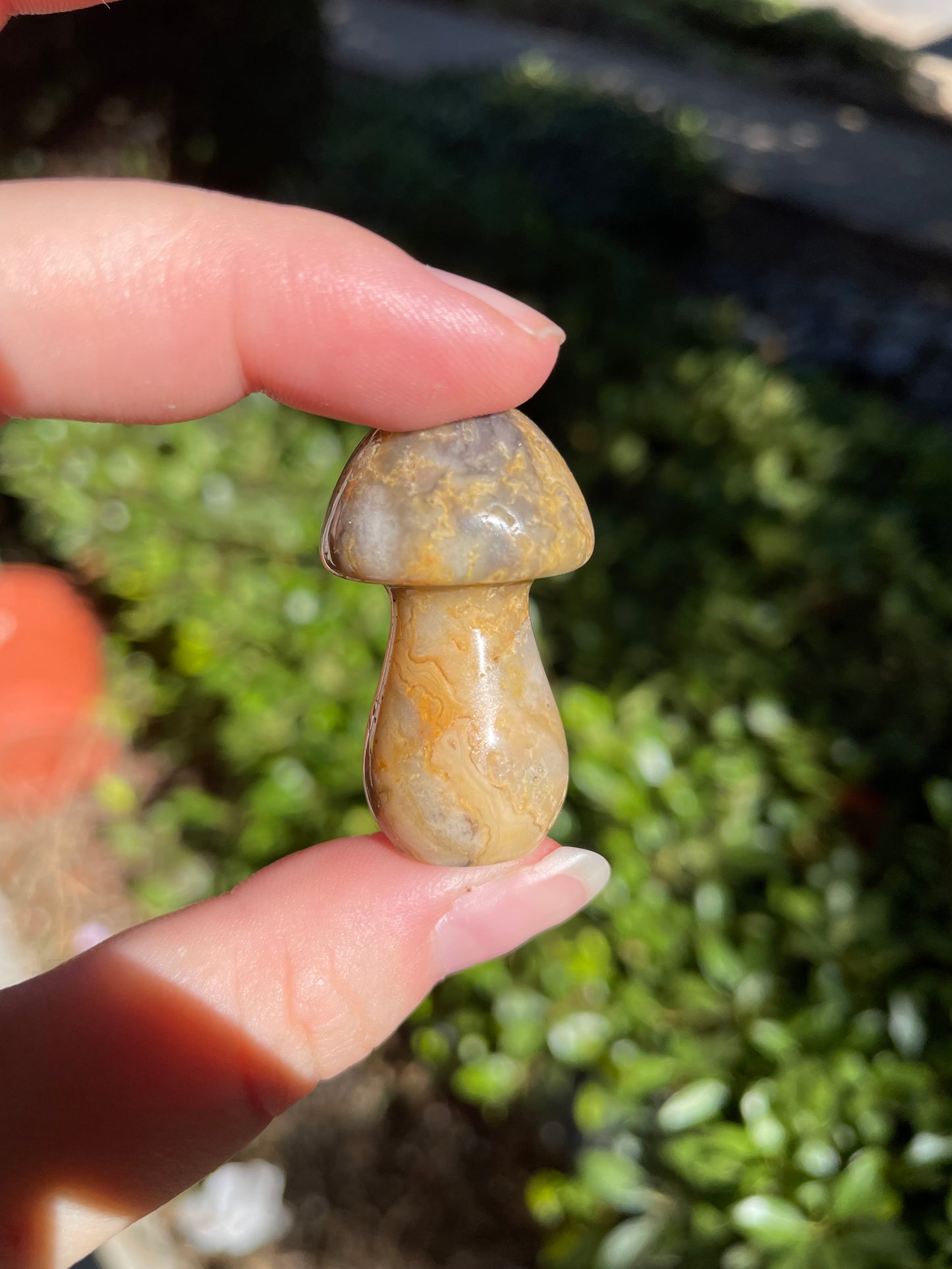 Crazy Lace Agate Crystal Mushroom