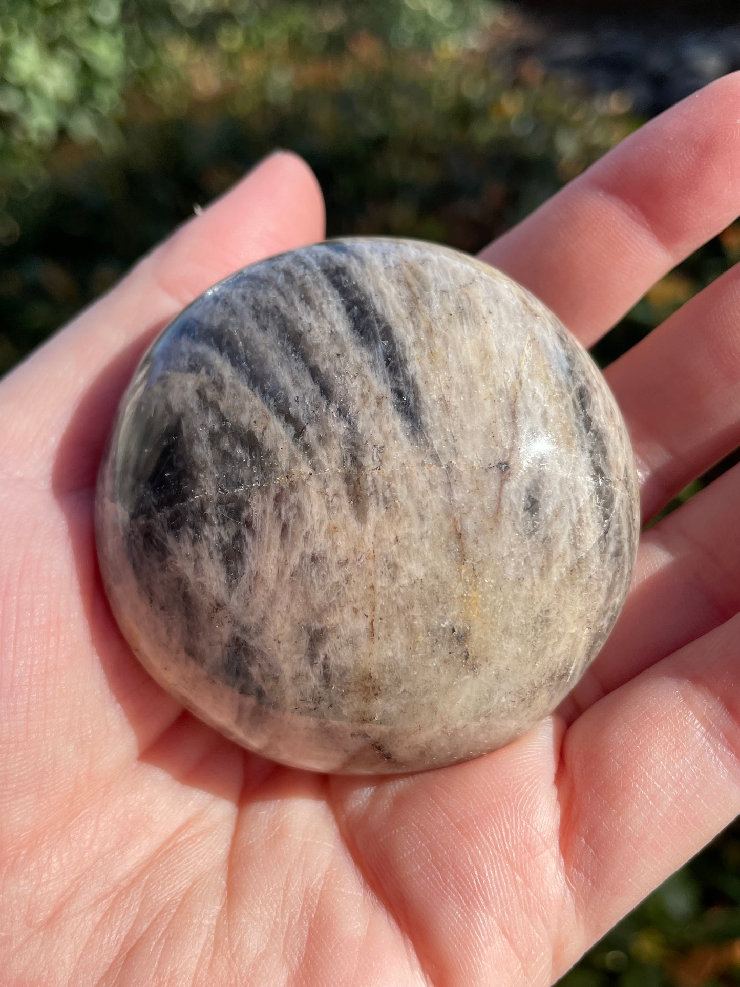 Black Moonstone Palm Stone