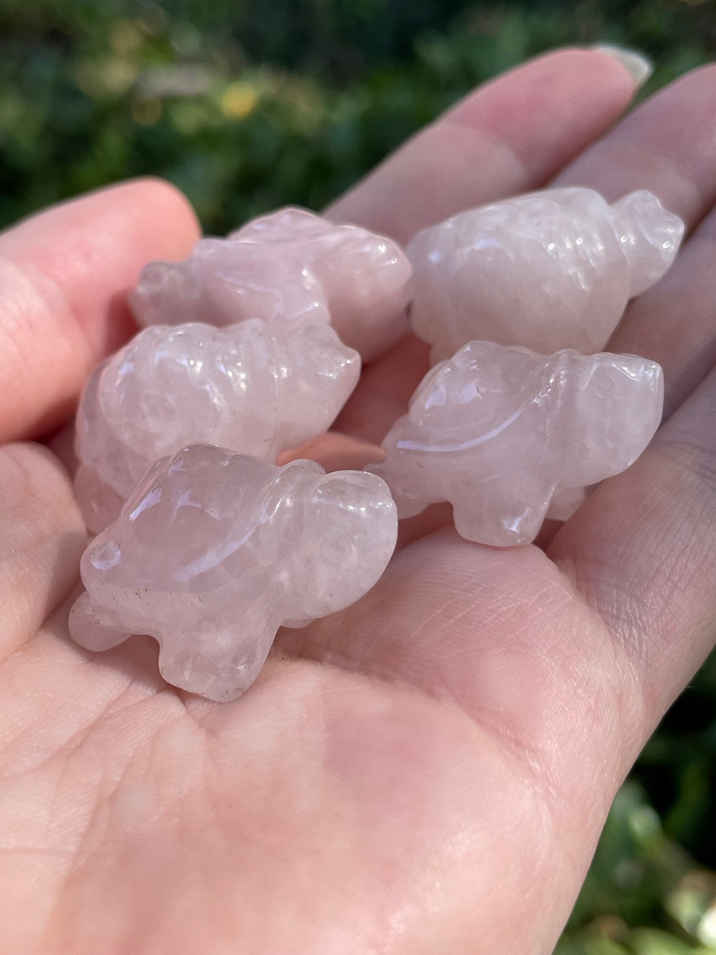 Rose Quartz Turtles