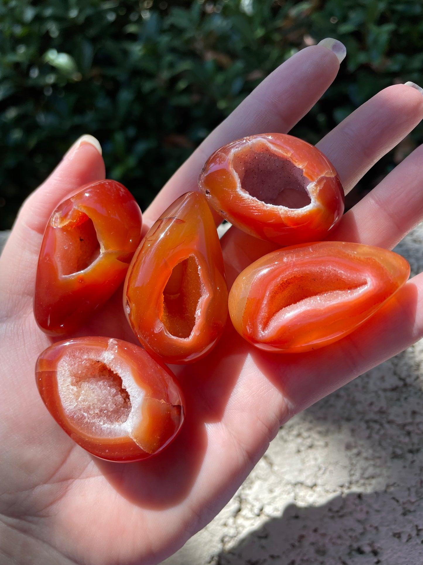 Carnelian Druzy Eggs
