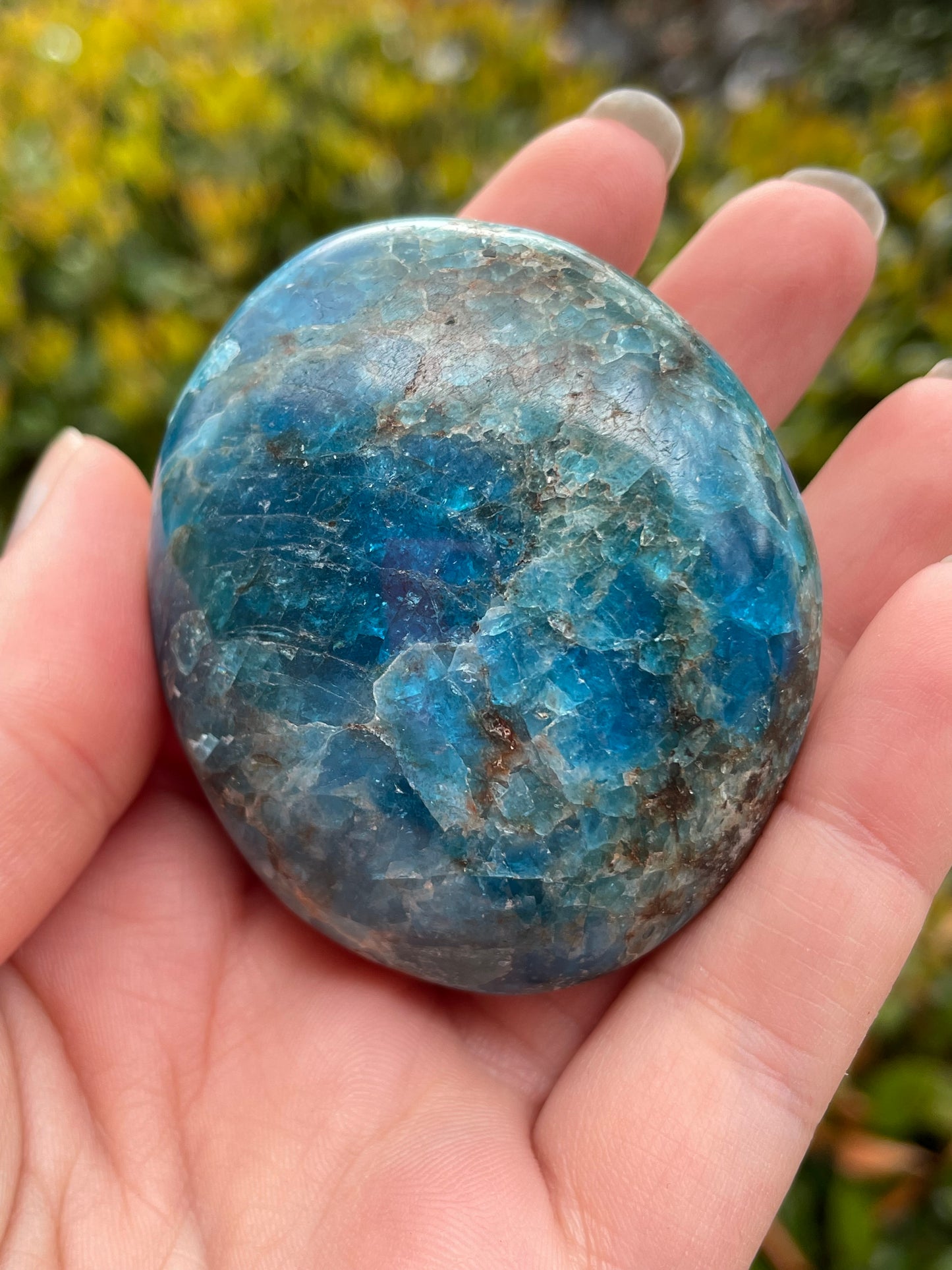 Blue Apatite Crystal Palm Stones