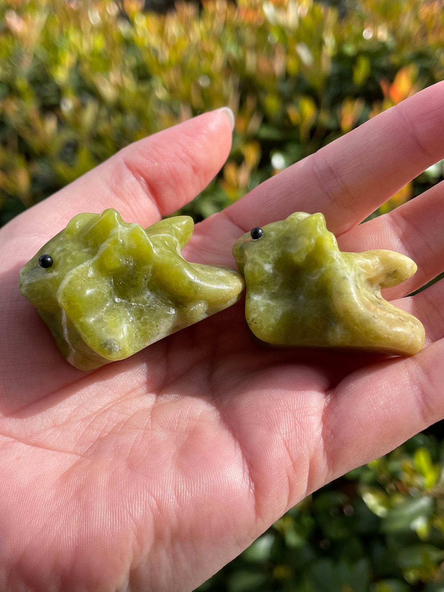 Cute Dragon Friends Noble Serpentine