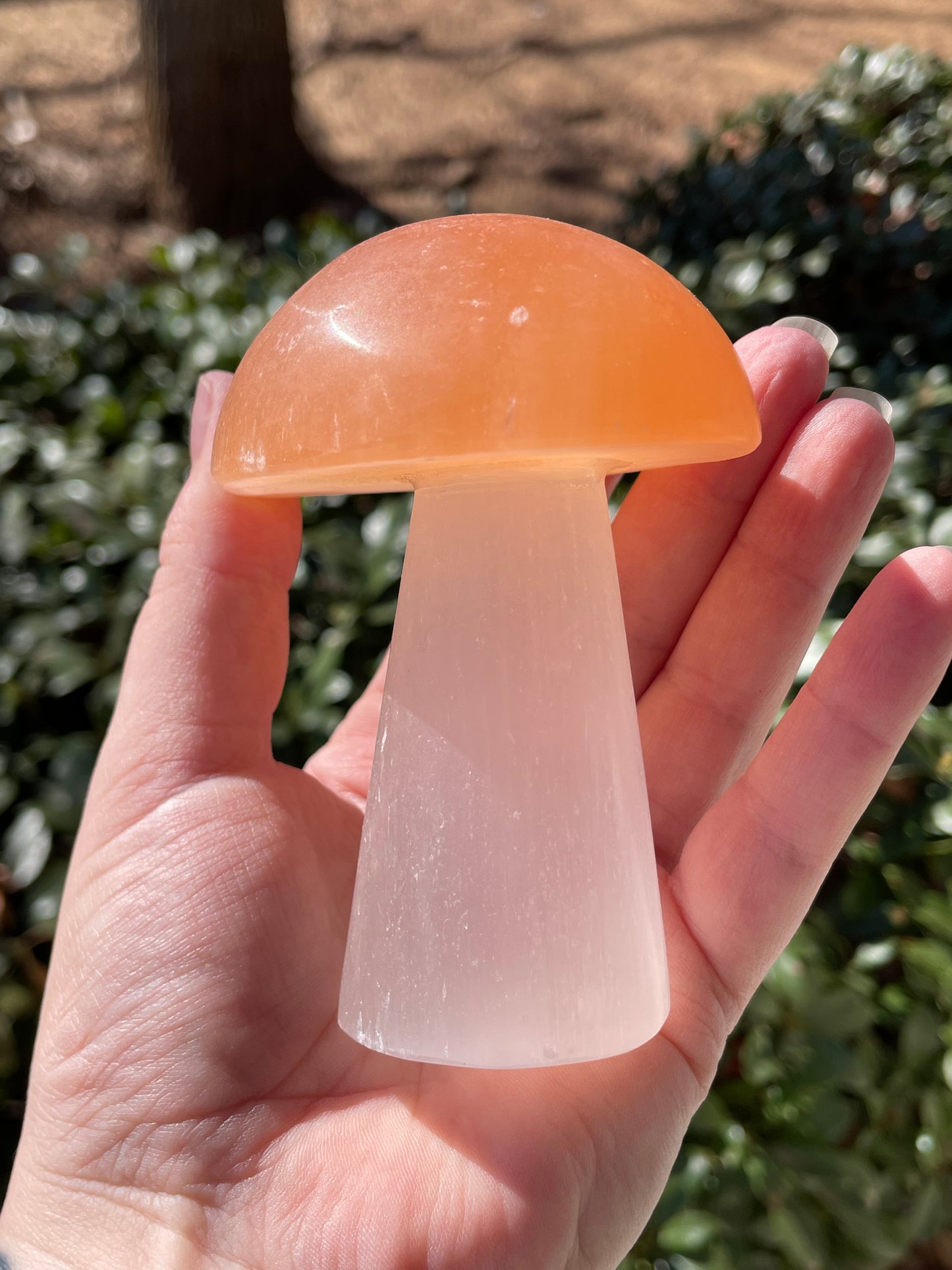 Satin Spar Selenite Crystal Mushrooms