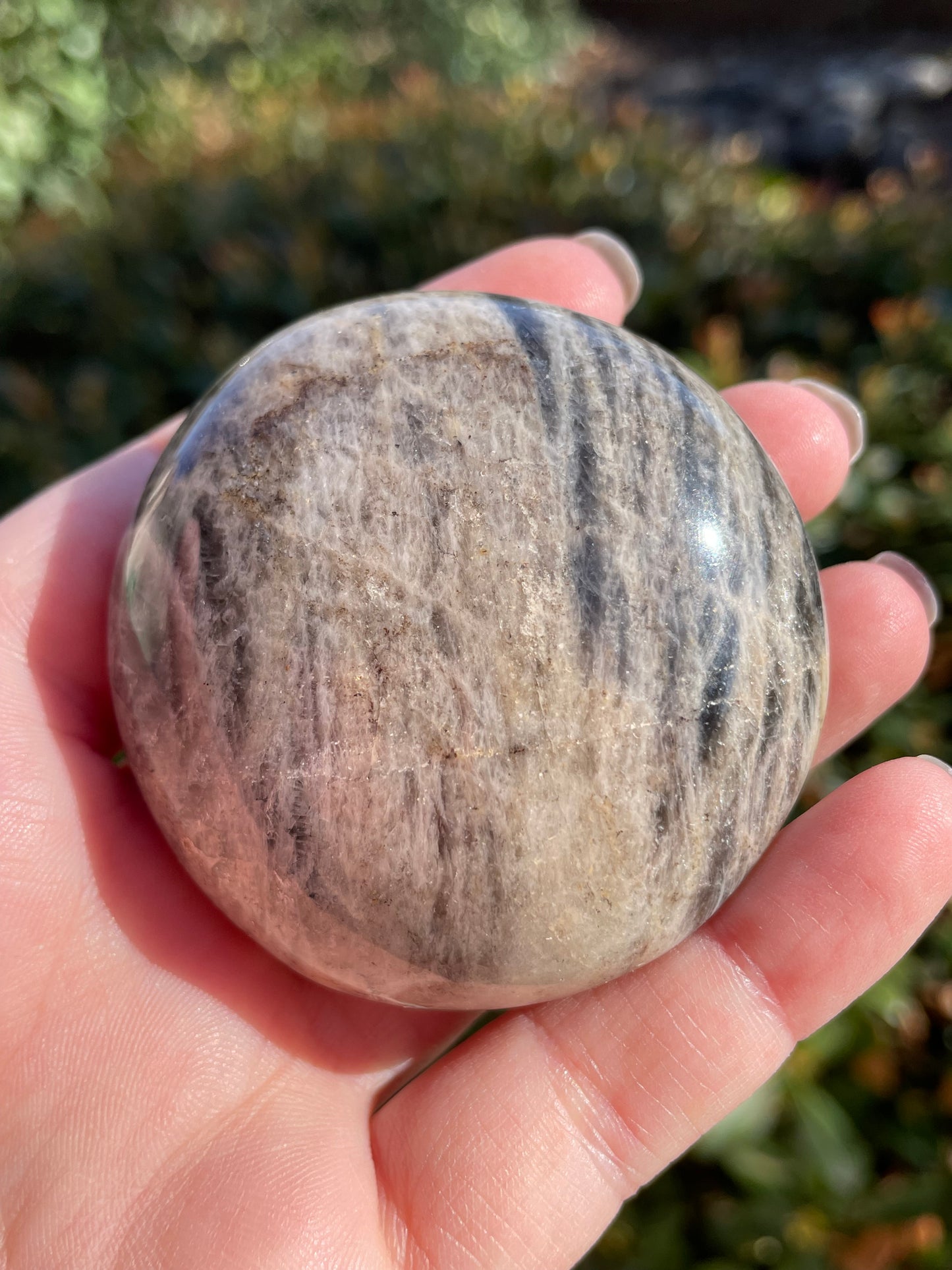 Black Moonstone Palm Stone