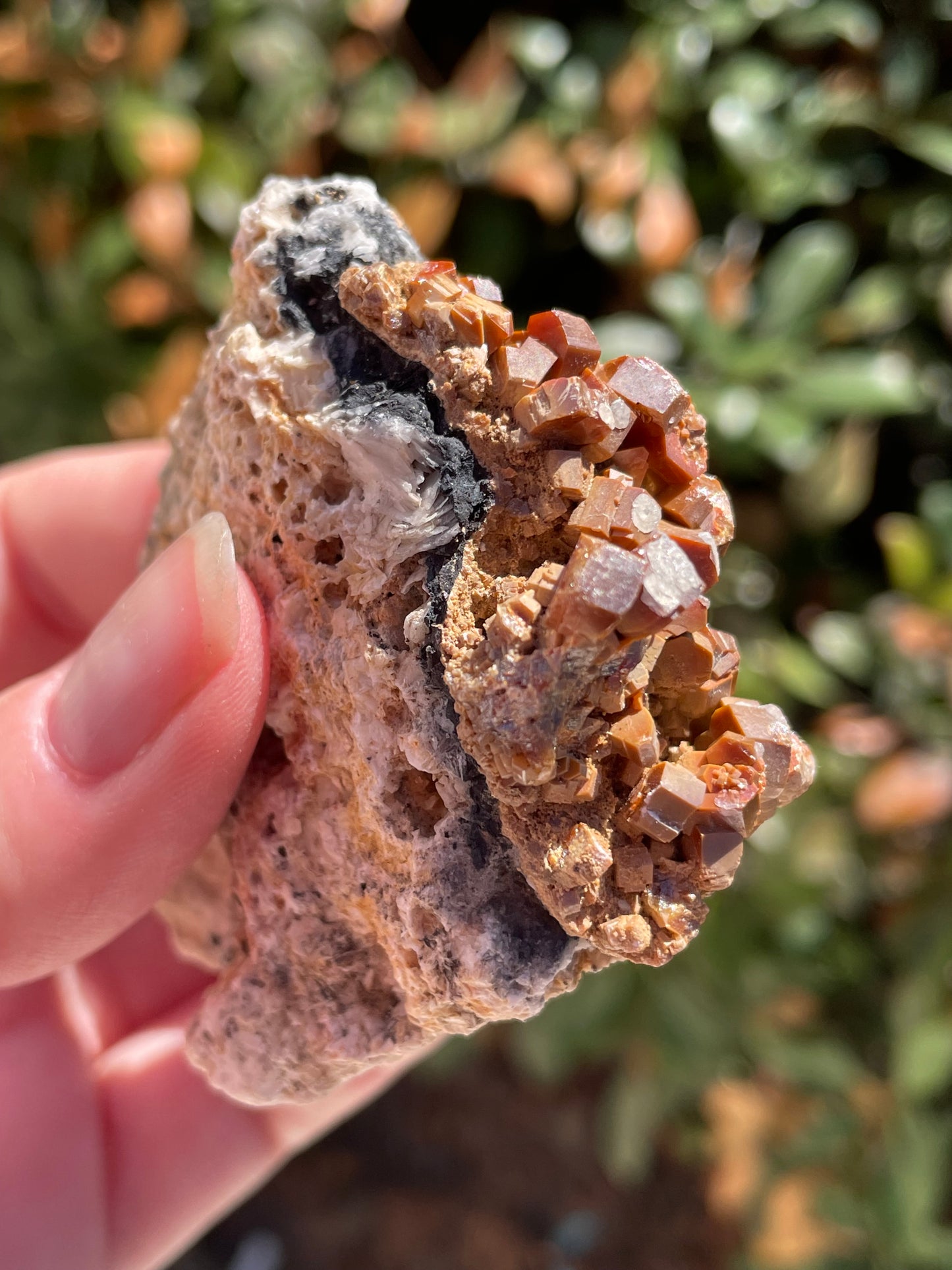 Vanadinite and Barite Crystal Mineral Specimen