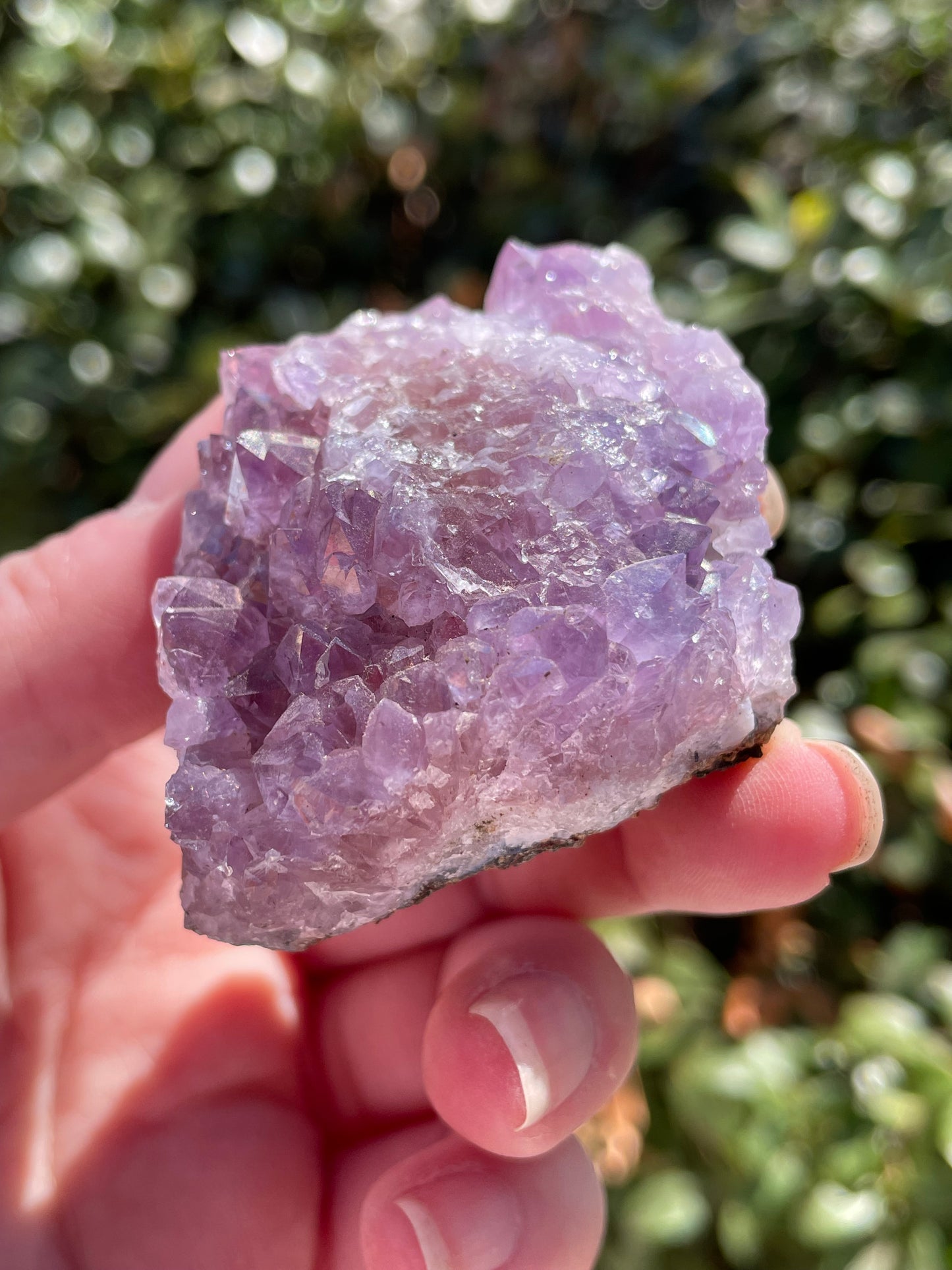 Amethyst Crystal Cluster