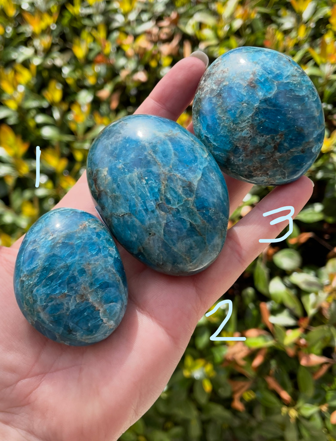Blue Apatite Crystal Palm Stones