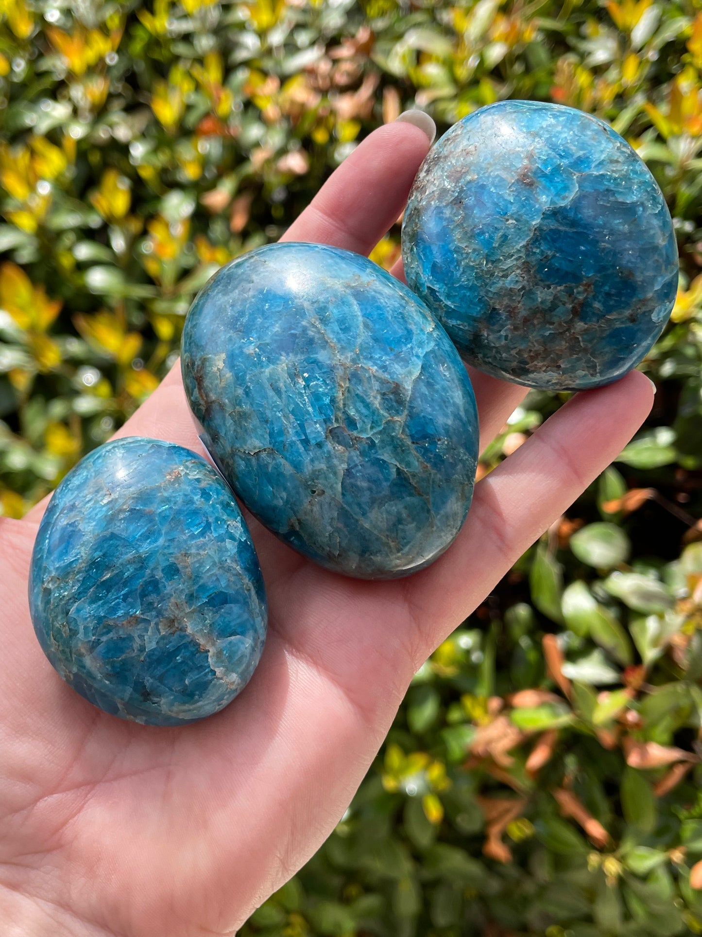 Blue Apatite Crystal Palm Stones