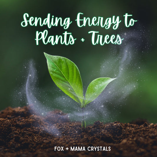 How to Send Source Energy to Plants & Trees