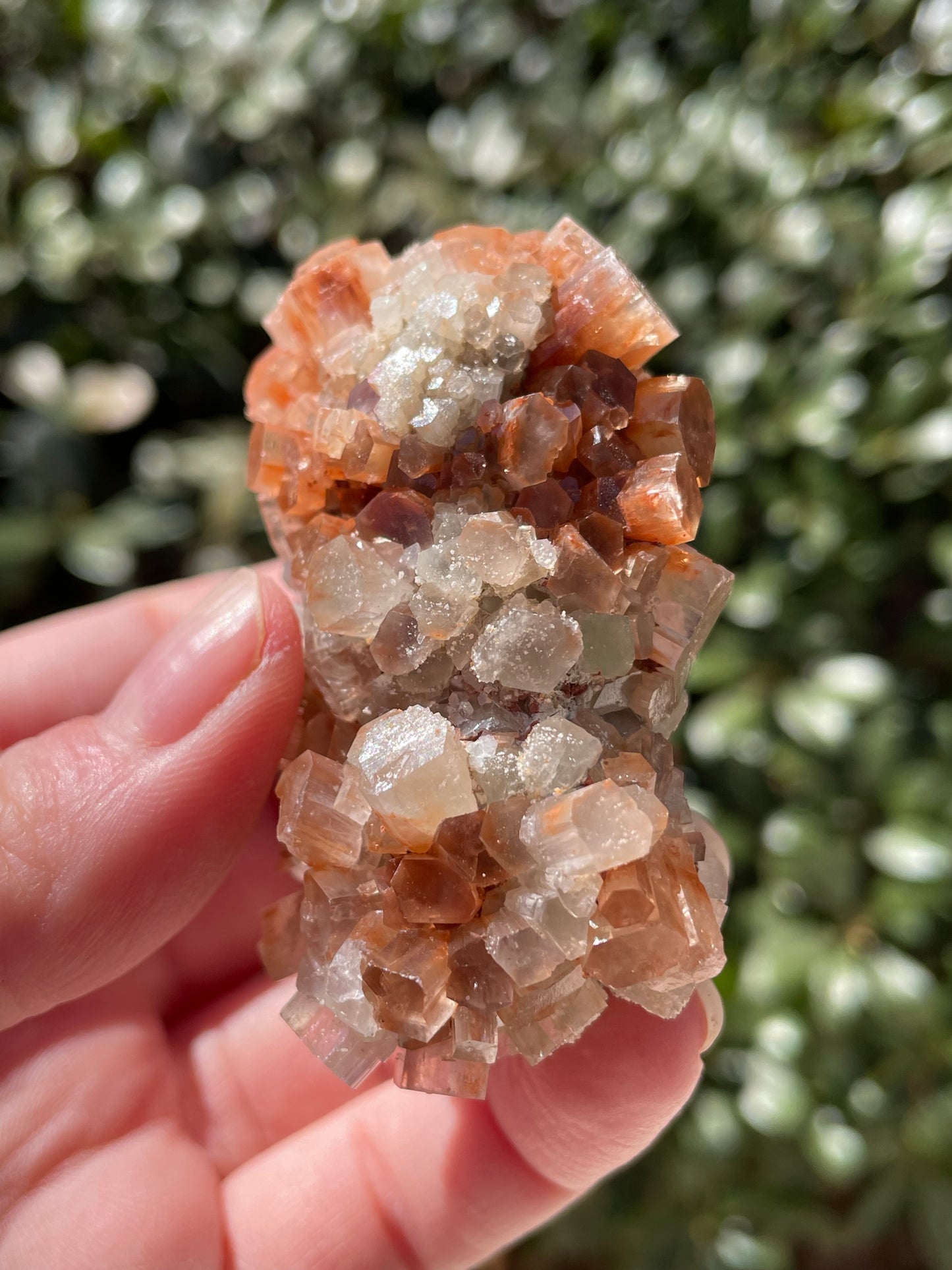 Aragonite Two Tone Crystal Cluster