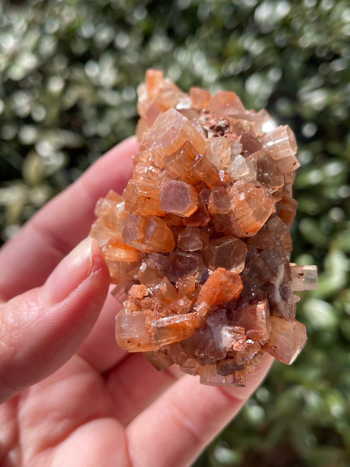 Aragonite Star Crystal Cluster