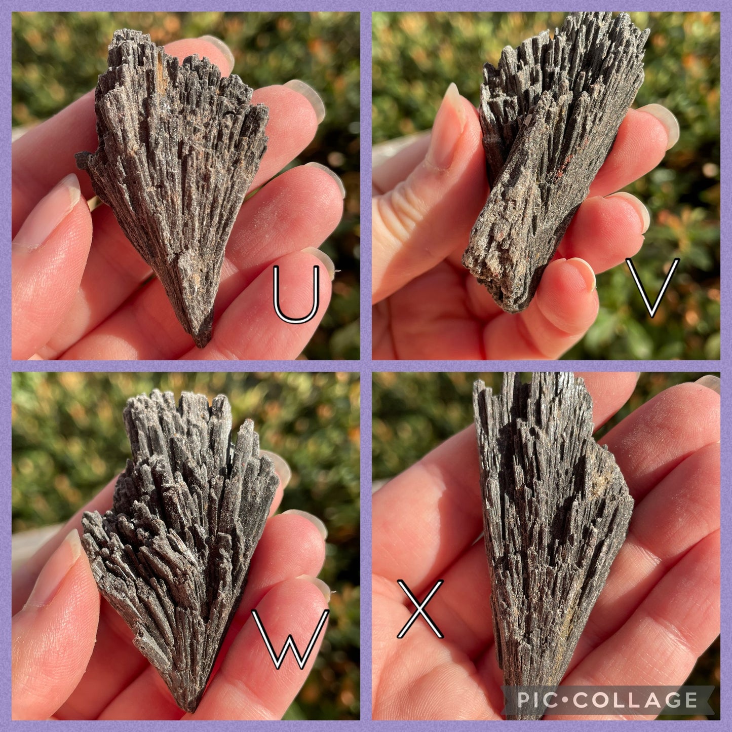 Black Kyanite Fans