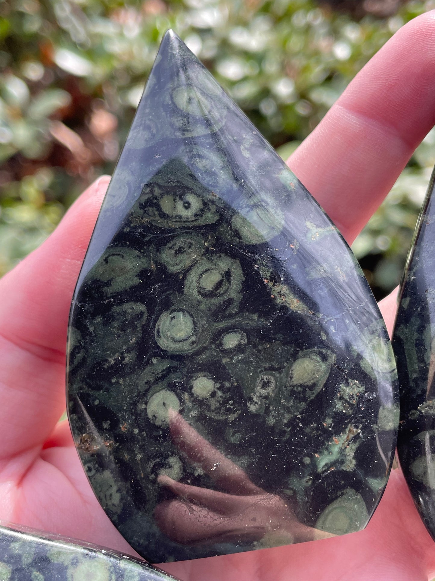 Kambaba Jasper Arrowhead Self Standing Stones