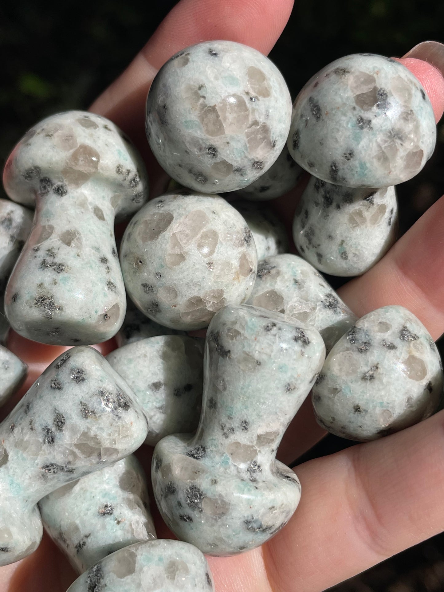 Kiwi Jasper Crystal Mushroom Carvings
