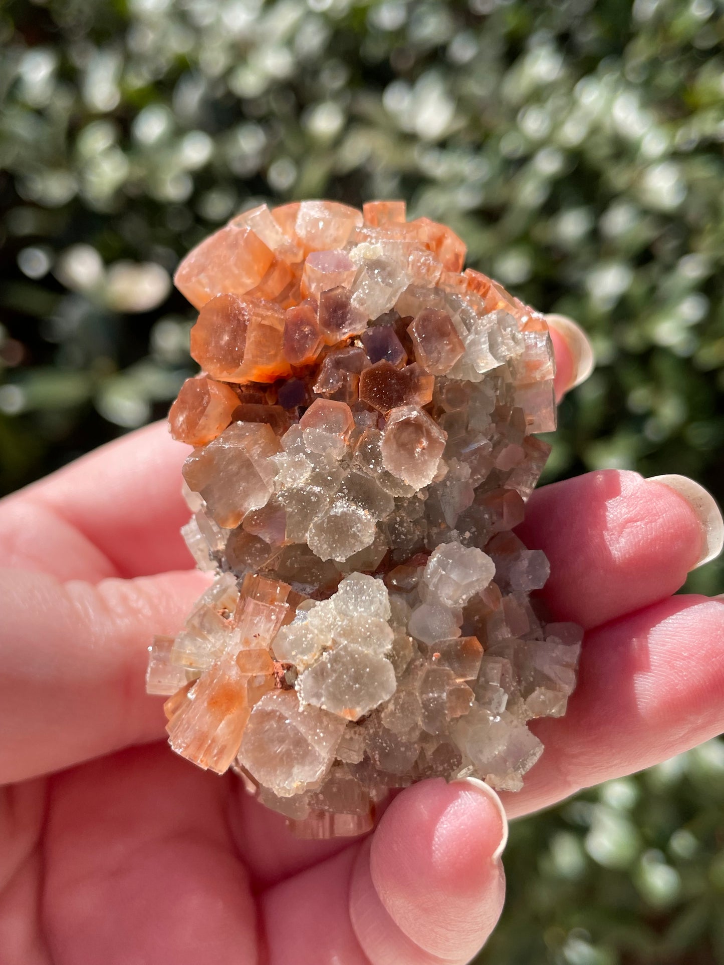 Aragonite Two Tone Crystal Cluster