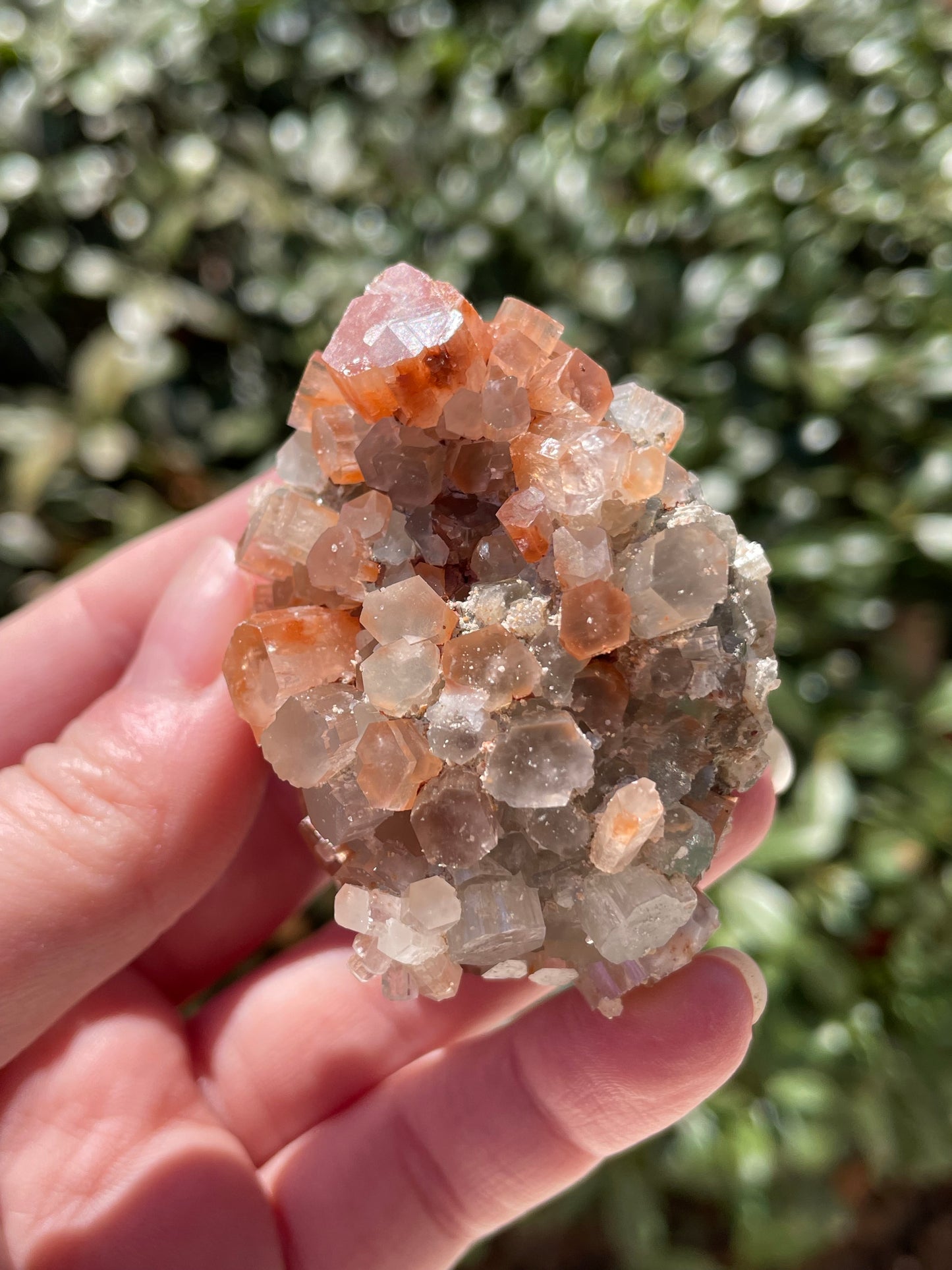 Aragonite Two Tone Crystal Cluster