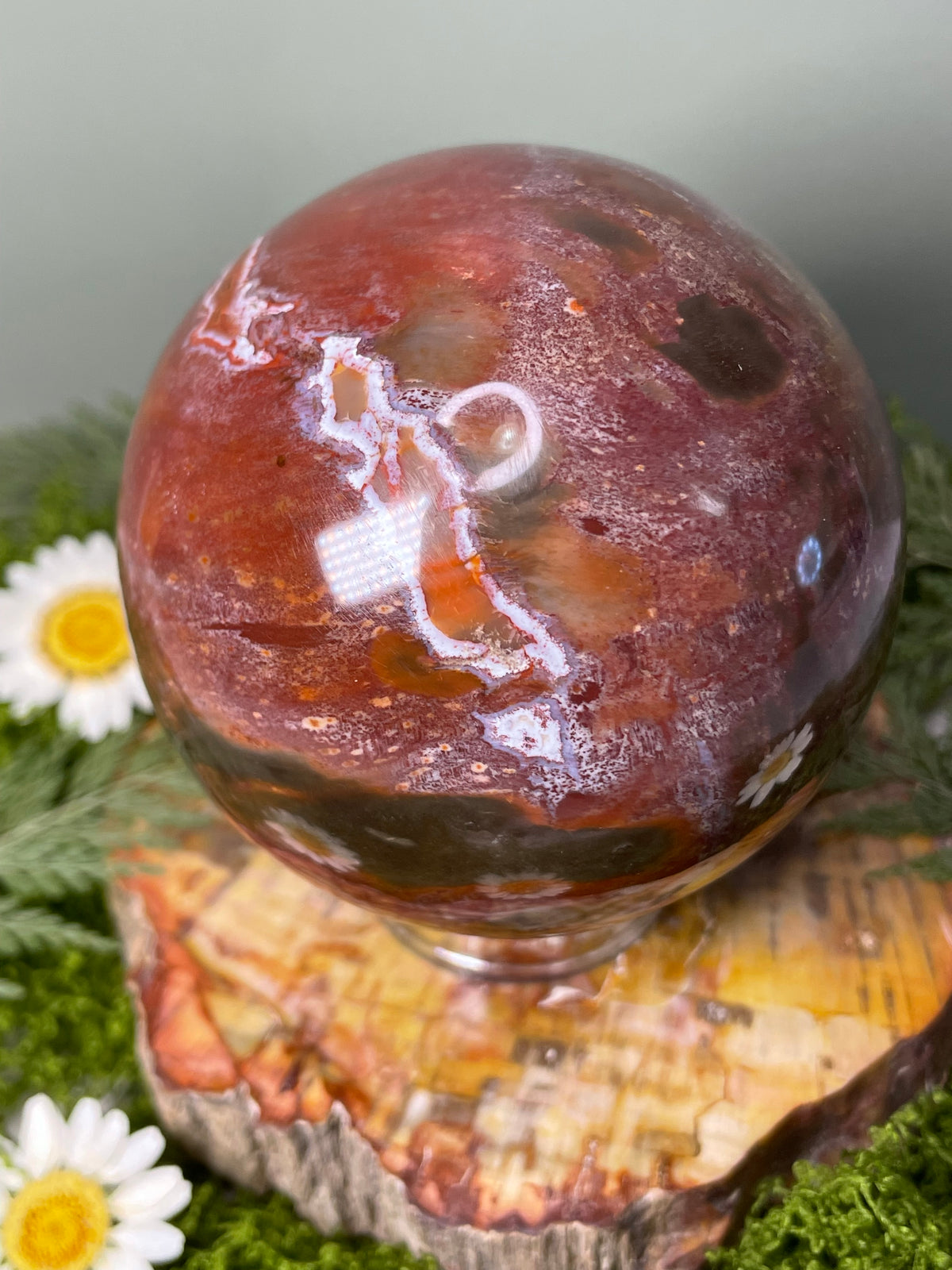 Petrified Wood Sphere