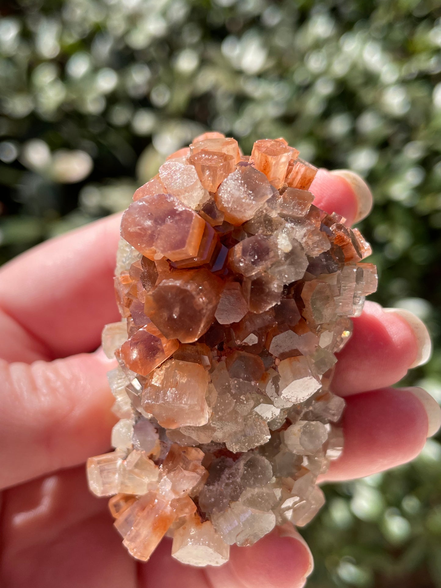 Aragonite Two Tone Crystal Cluster