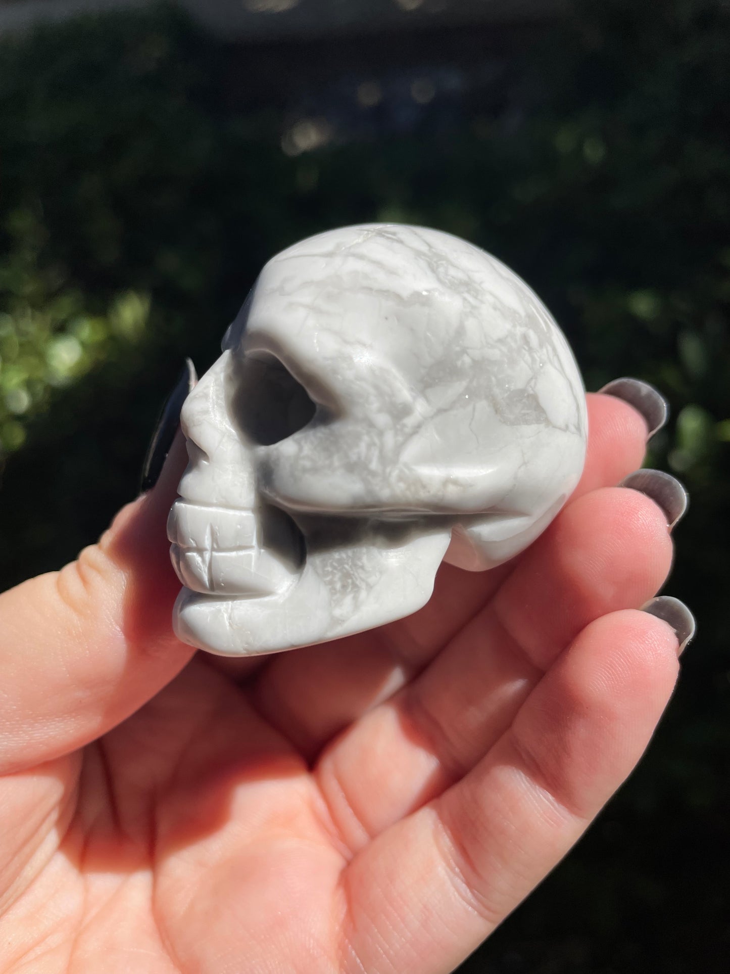 2” Howlite Crystal Skull