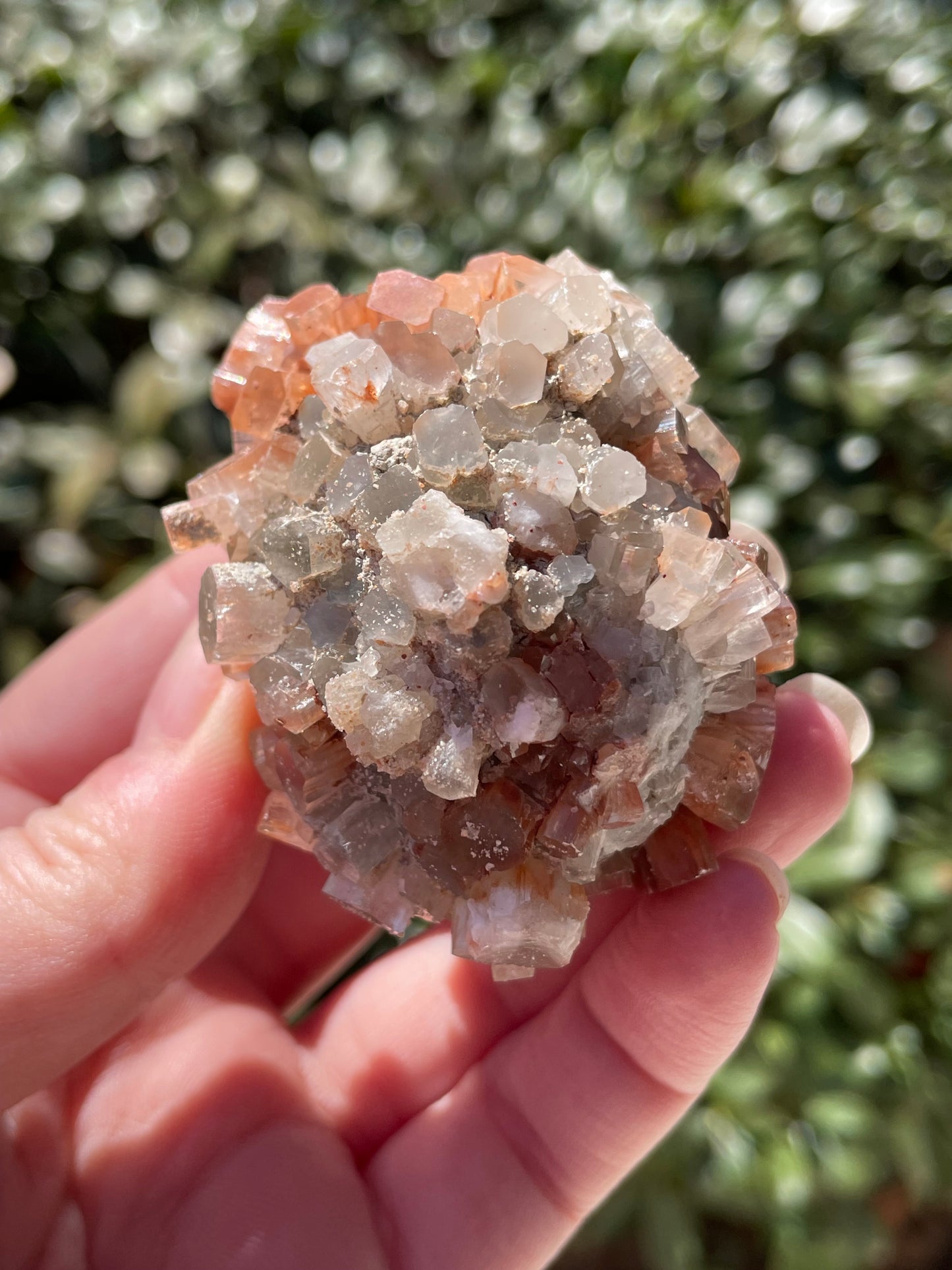 Aragonite Two Tone Crystal Cluster