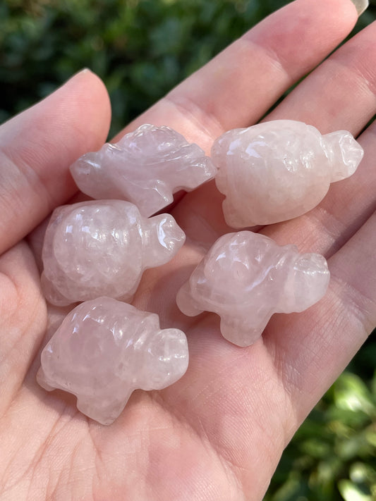 Rose Quartz Turtles