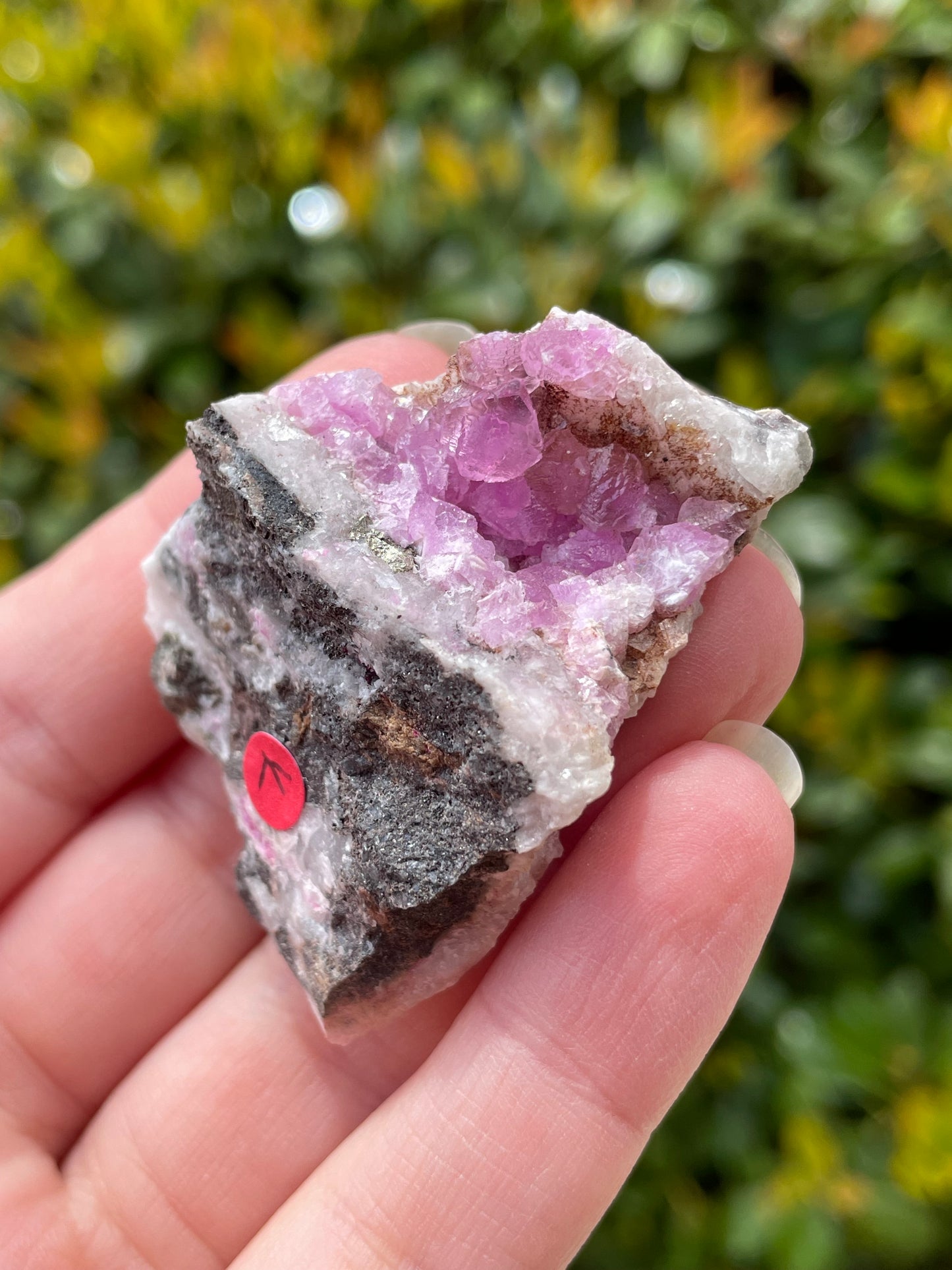 Cobaltoan Calcite Crystal Cluster
