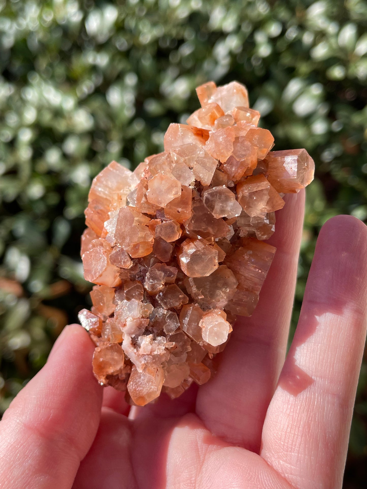 Aragonite Star Crystal Cluster
