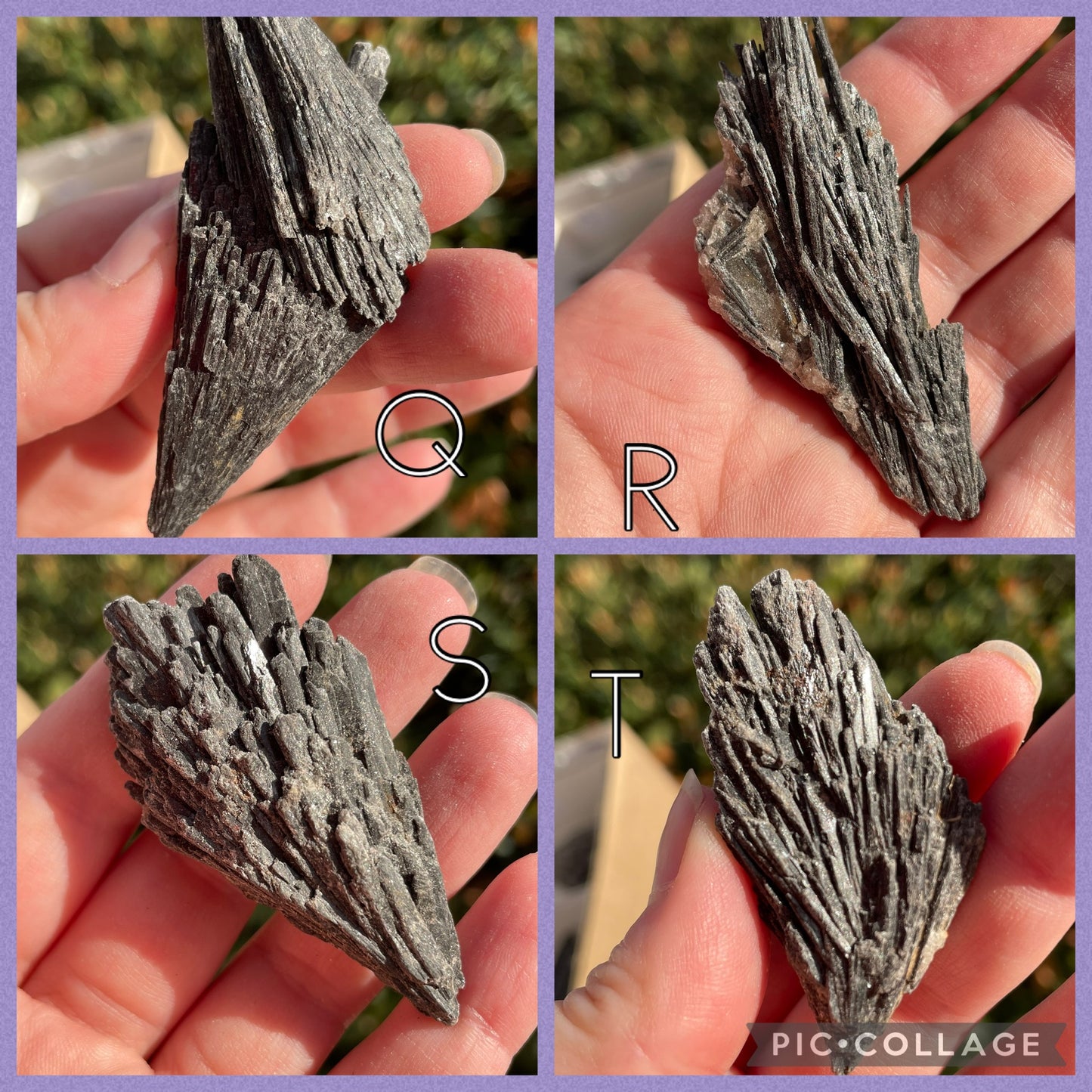 Black Kyanite Fans