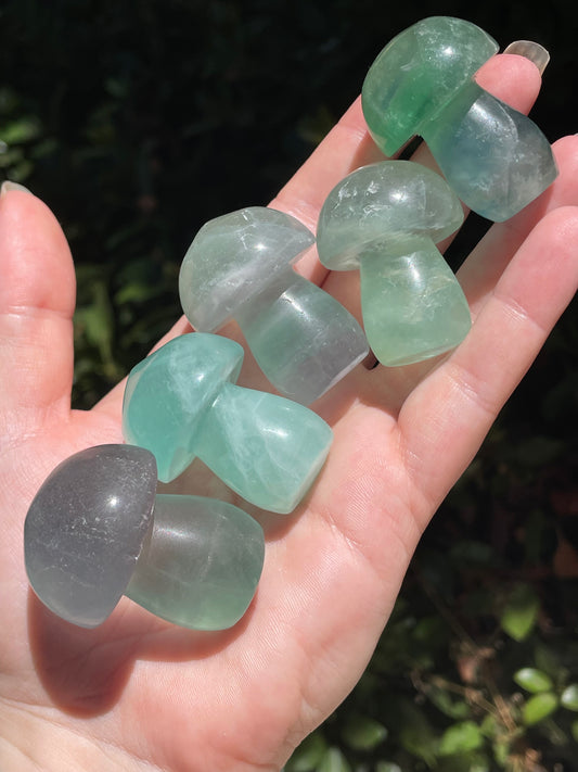 Green Fluorite Crystal Mushrooms