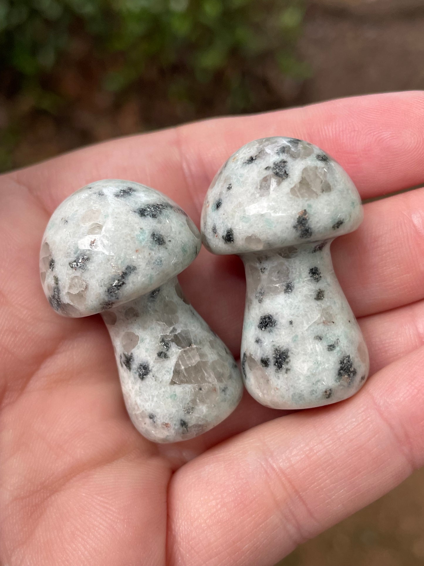 Cute Crystal Mushrooms