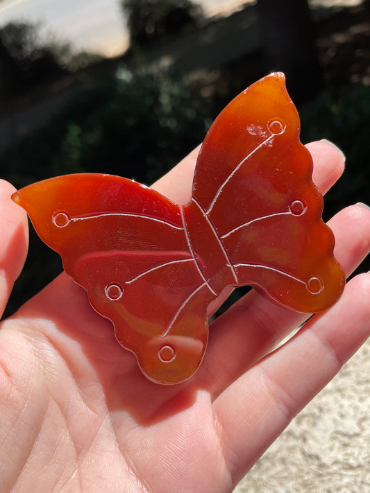 Carnelian Butterfly Carving