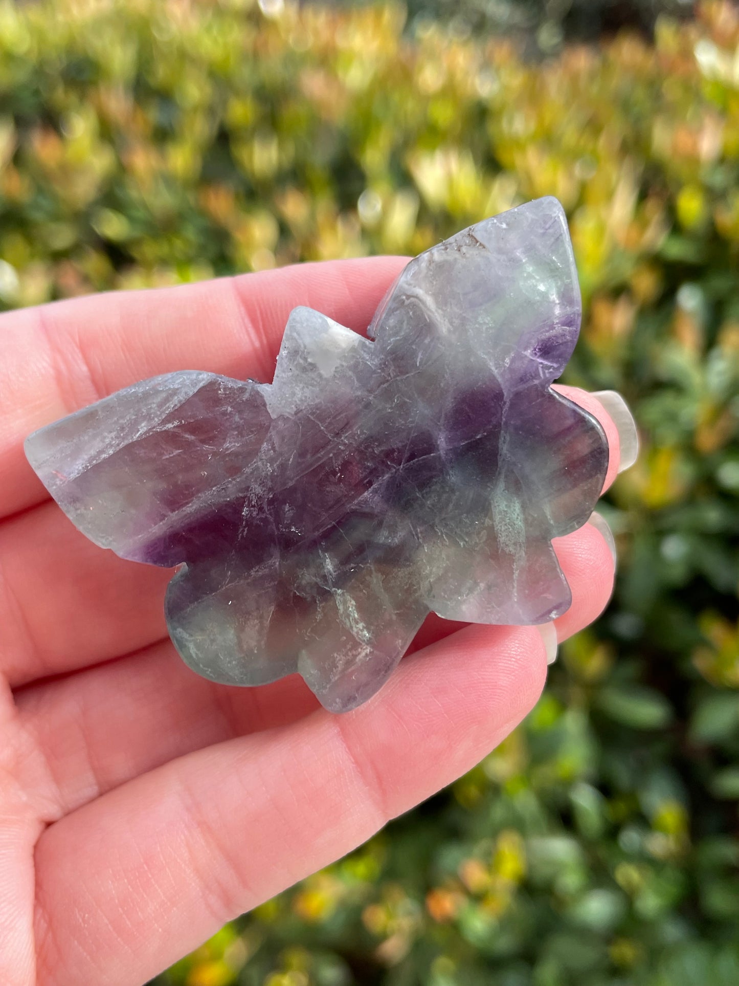 Rainbow Fluorite Butterfly Carvings