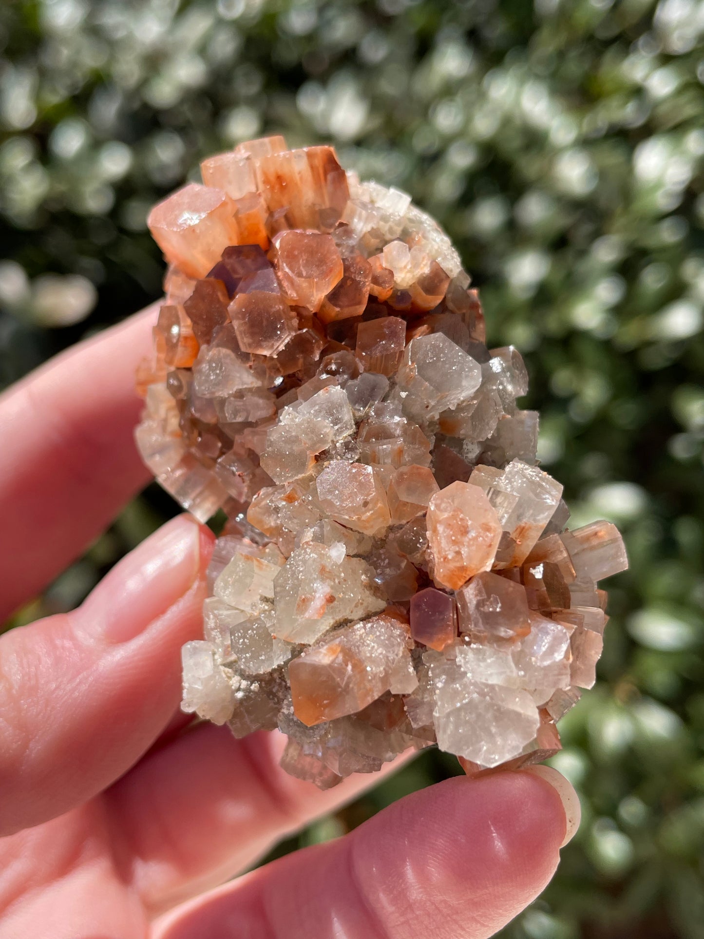 Aragonite Two Tone Crystal Cluster