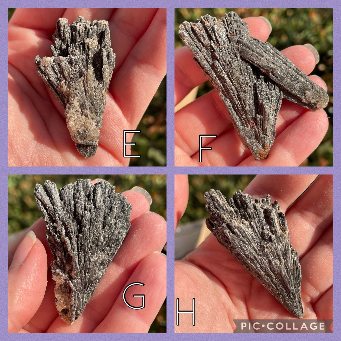 Black Kyanite Fans