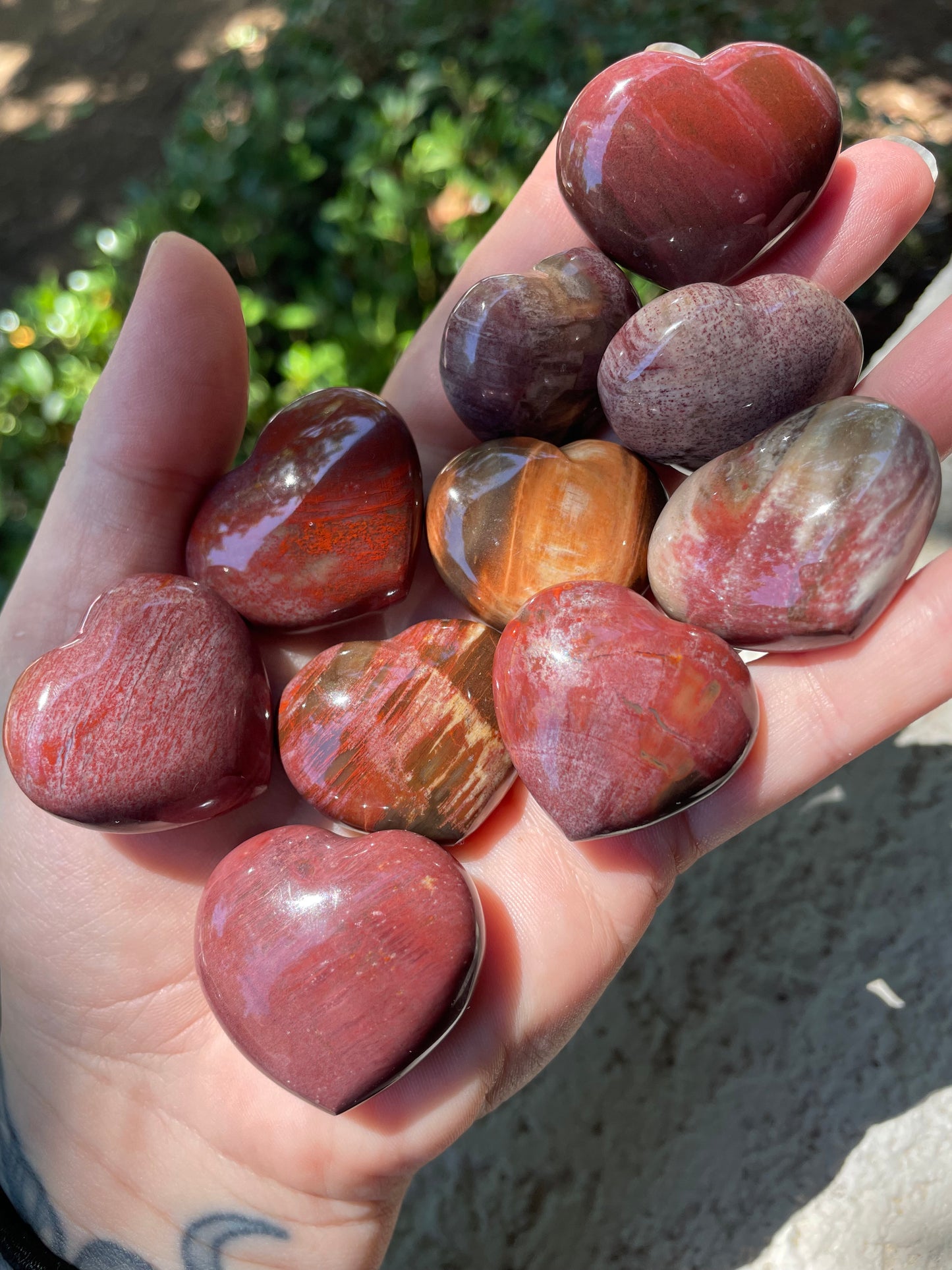 Petrified Wood Hearts